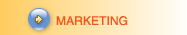 Go to Marketing